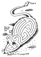 Rat maze.jpg (506 KB) Rat maze. (Page 67)