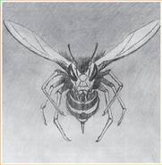 Pencil sketch by Tim Jacobus for the cover of Why I'm Afraid of Bees.