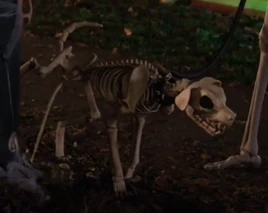 Skeleton Dog Haunted Halloween