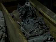The Mummified Cat inside of the Mummy's sarcophagus.