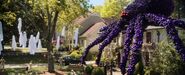 The Balloon Spider standing outside Mr. Chu's house as an halloween ornament.