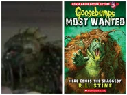 Zcamera-20180827 191020.jpg (497 KB)