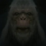 Zcamera-20170308 064255 ZDateMark