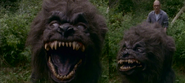 Sabre (left) and Sabre being operated by George (right).