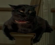 Sarabeth as a black cat