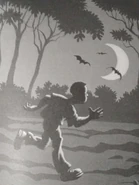 Phil runs in the woods at night.