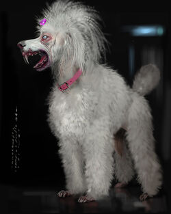Evil poodle top
