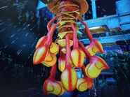 Wilted pitcher plants.