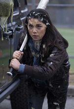 Isabella (23 KB) Isabella Ana Yi Puig