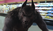 Werewolf