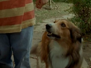 Trigger1.png (576 KB) Trigger