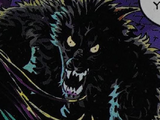Wolf Boy