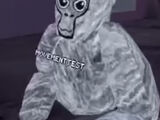 Movementtest