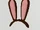 Brown Bunny Ears