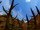 Swamp