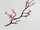 Cherry Blossom Branch