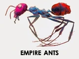 Empire Ants