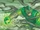 Gorbattente delle Foreste