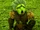 Bambino (Forest Solider)