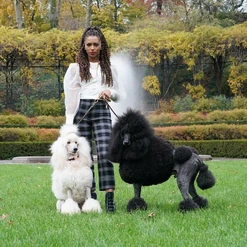 S1 Monet IG4.jpg (211 KB)