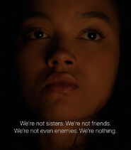 107 Quote5.jpg (399 KB)