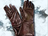 Ned Stark's Hunting Gloves