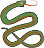 Sigil Snake.png (17 KB)
