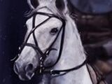 Lyanna Stark's Horse