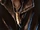 Daario's Necklace