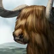 Aurochs
