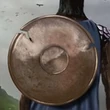 Shield of the Follower