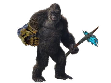 360?cb=20250107160439