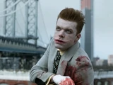 A Dark Knight: That's Entertainment