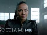 Gotham: A City Gone Mad