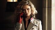 Gotham Harley