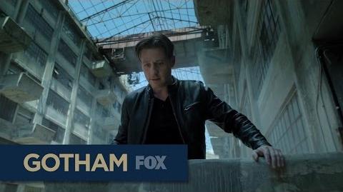 This Fall On Gotham & Lucifer GOTHAM