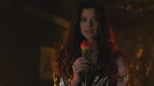 PoisonIvy4x13