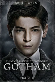 GothamBruceWayne.png (782 KB)