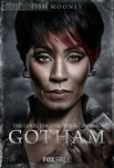 GothamFishMooney