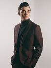 Alfred Pennyworth (Jack Bannon) (10 épisodes)