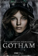 GothamSelinaKyle