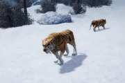 Säbelzahntiger