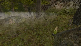 Cmentarz koło farmy Sekoba (GII) (by Jao98)