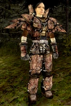 Героиня одета в женские доспехи из полузунов