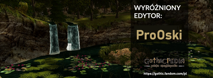 Wyróżniony edytor ProOski (2025)