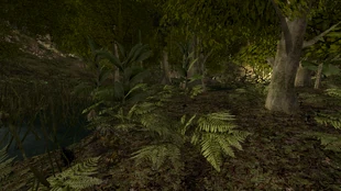 G2NK Bagno w Jarkendarze 02 sadzawka