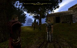 Wilkowi najwyraźniej bardzo spodobała się praca na farmie Bengara...