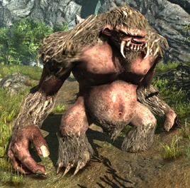 Troll (ArcaniA)
