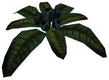 Serafis w modyfikacji Carnage Graphic Patch