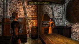 Patelnia dla Hildy (Gothic II Noc Kruka)